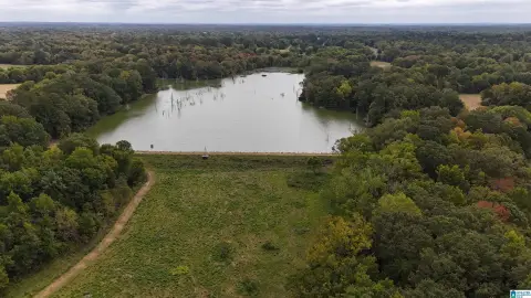 718 Acres Hunting and Fishing Destination