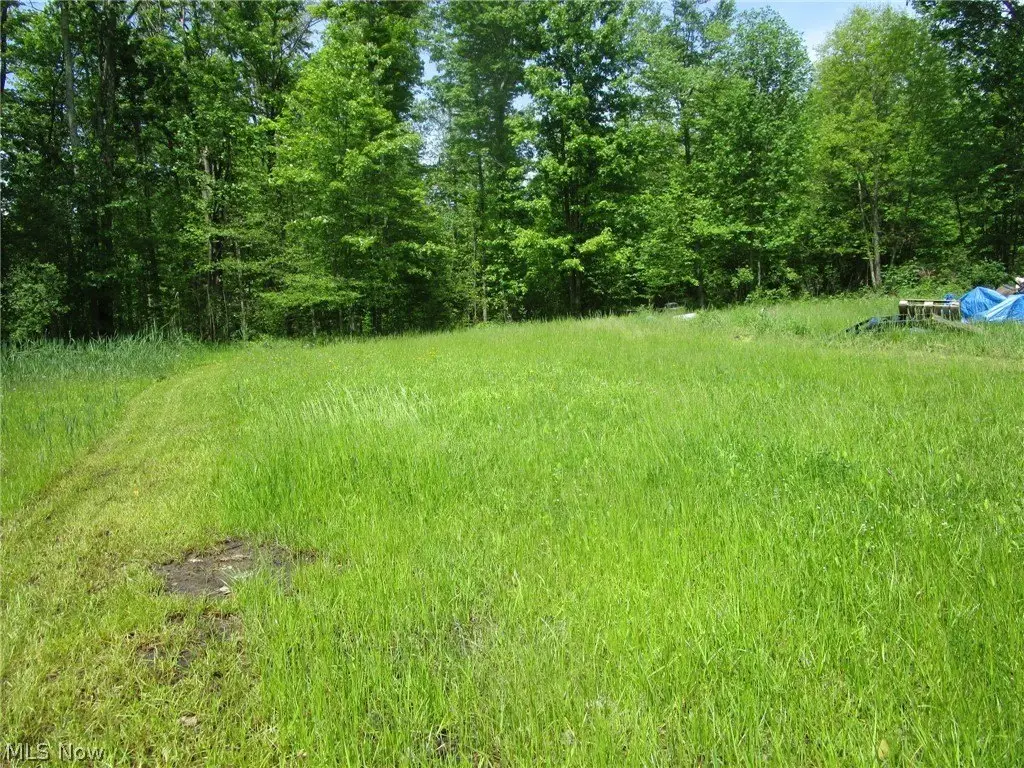 Picture 33