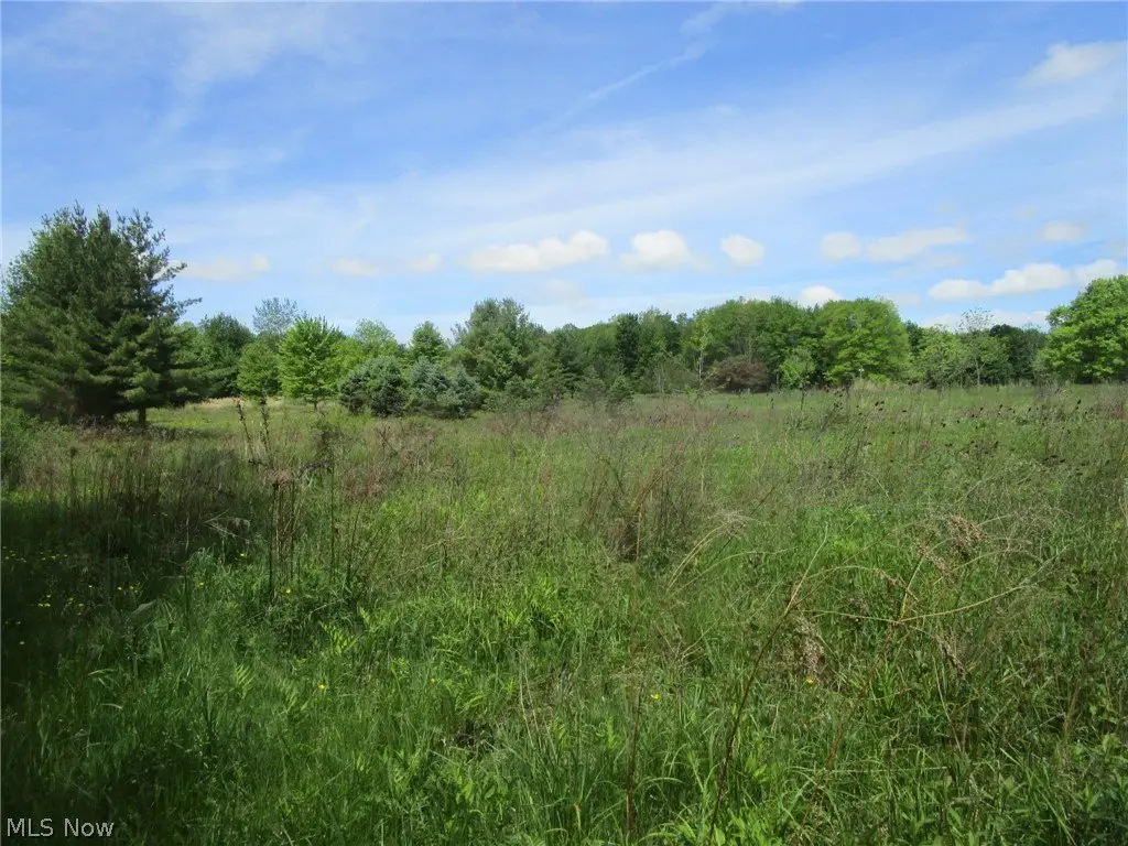 Picture 38