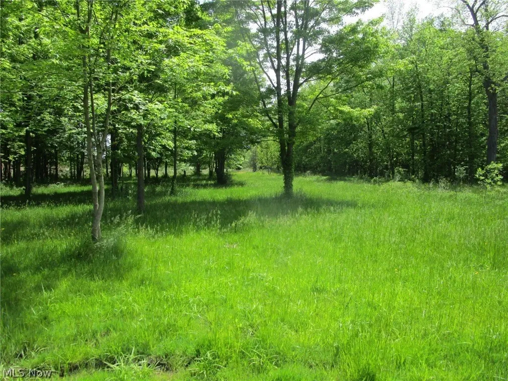 Picture 27