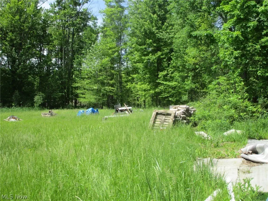 Picture 7