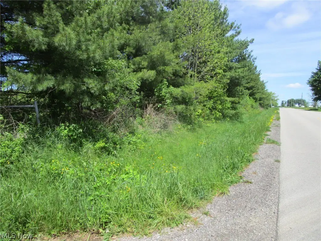Picture 5