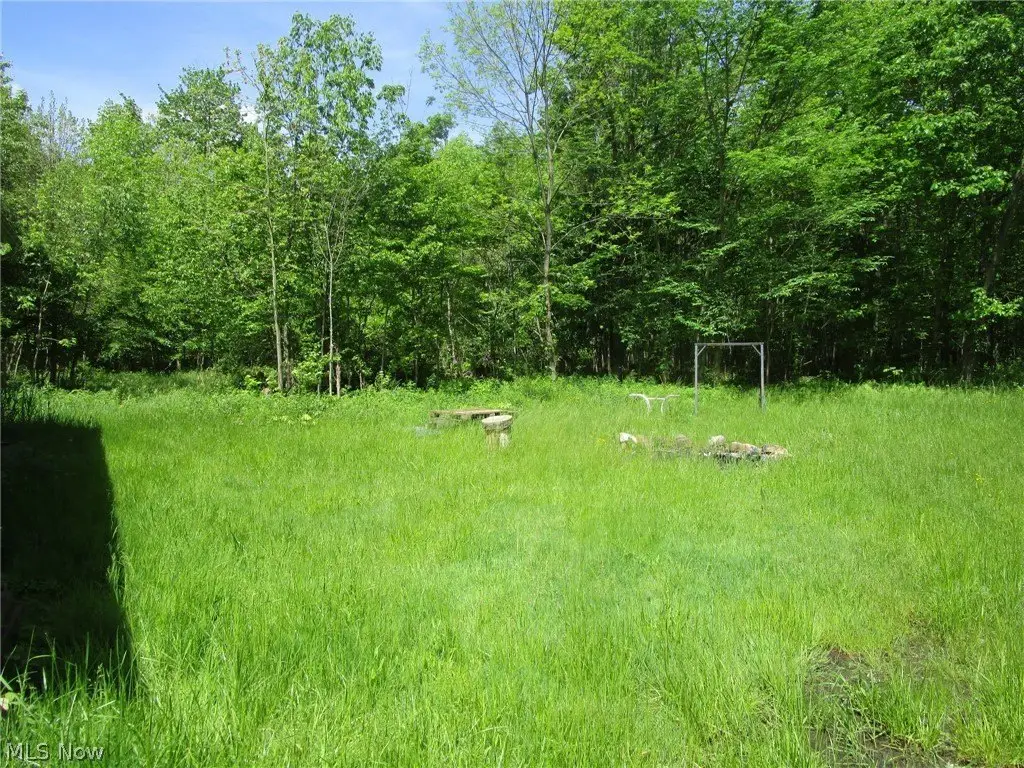 Picture 21
