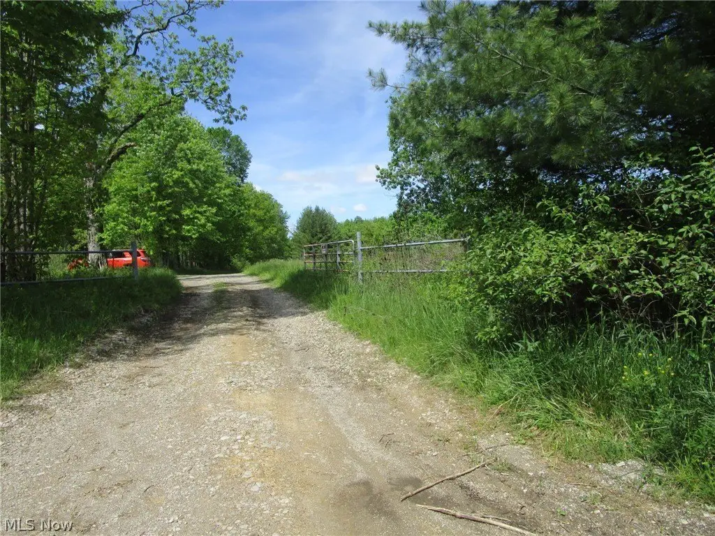 Picture 41