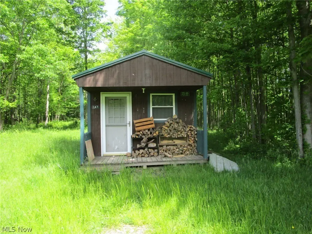 Picture 19