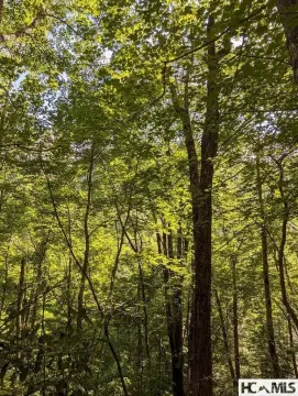 Scenic Mountain Homesite Opportunity