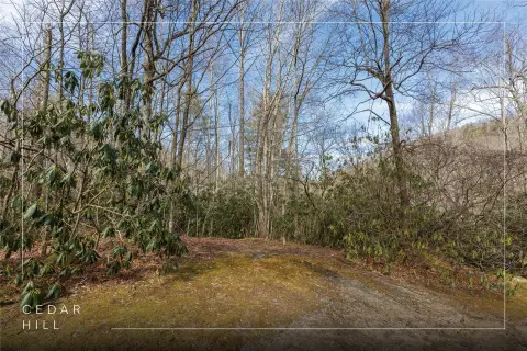 Cashiers Land with Multiple Streams