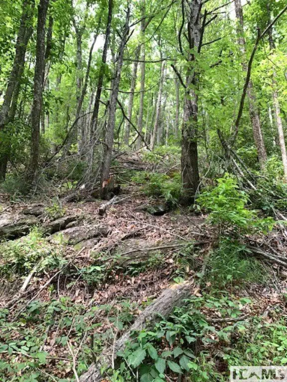 Picture 4