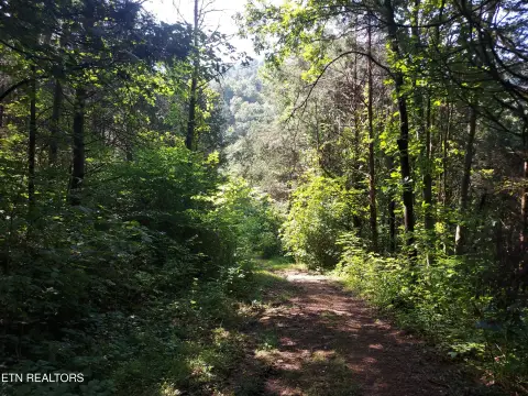 Exceptional Land with Creek Frontage