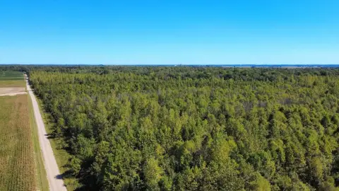 Income Producing Hunting Farm