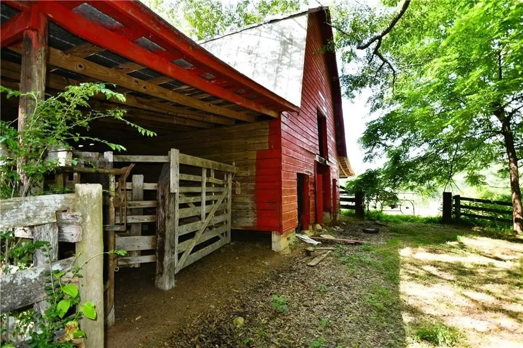 Picture 14