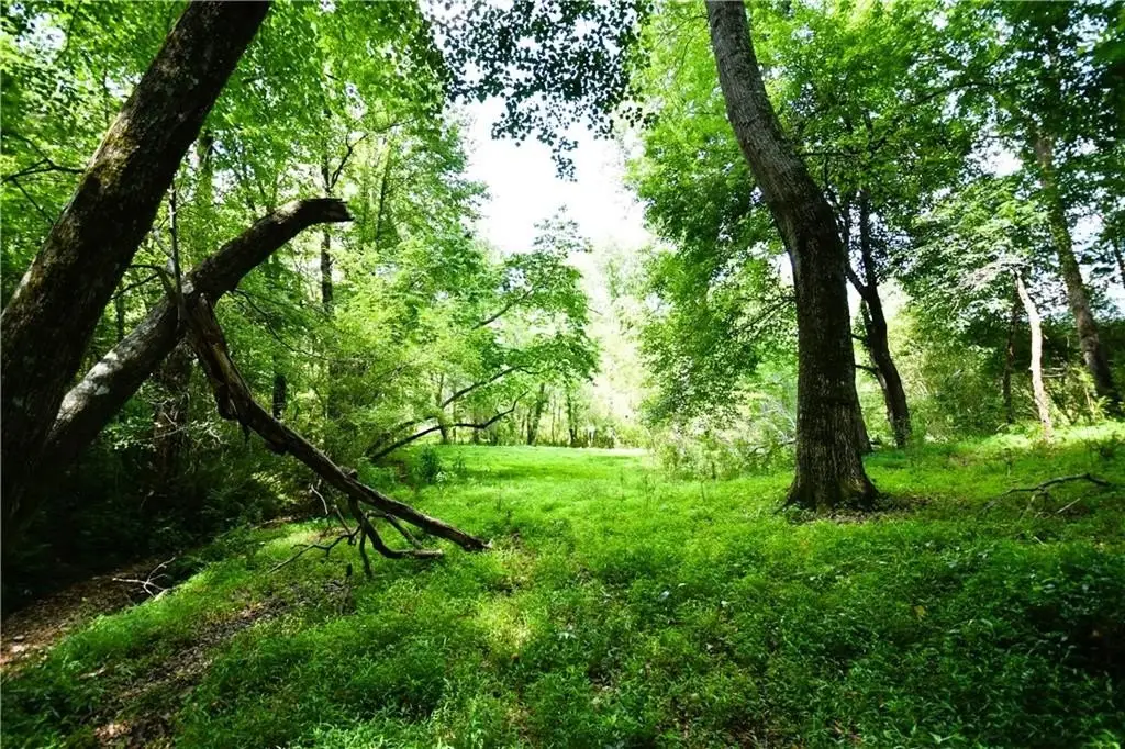 Picture 45