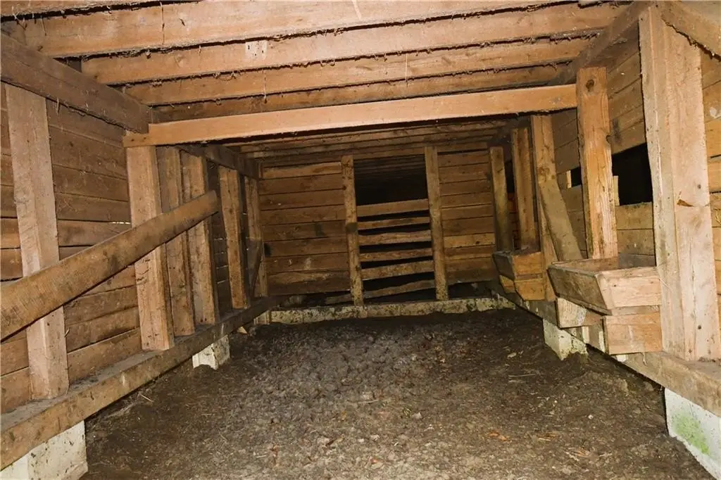Picture 19