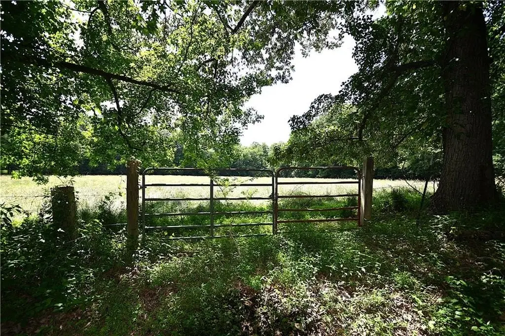 Picture 38