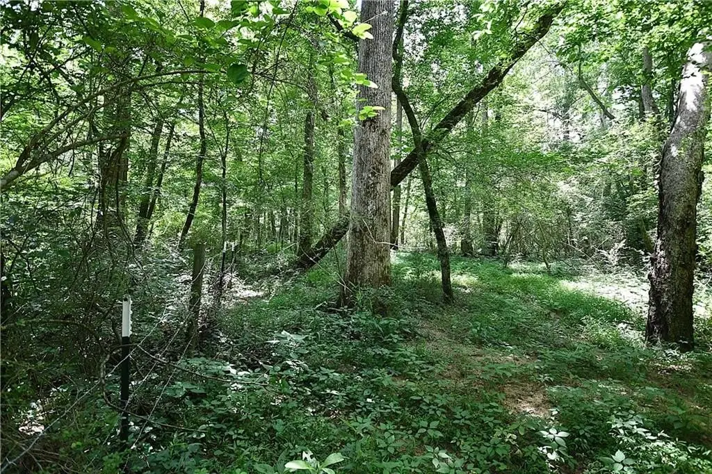 Picture 37