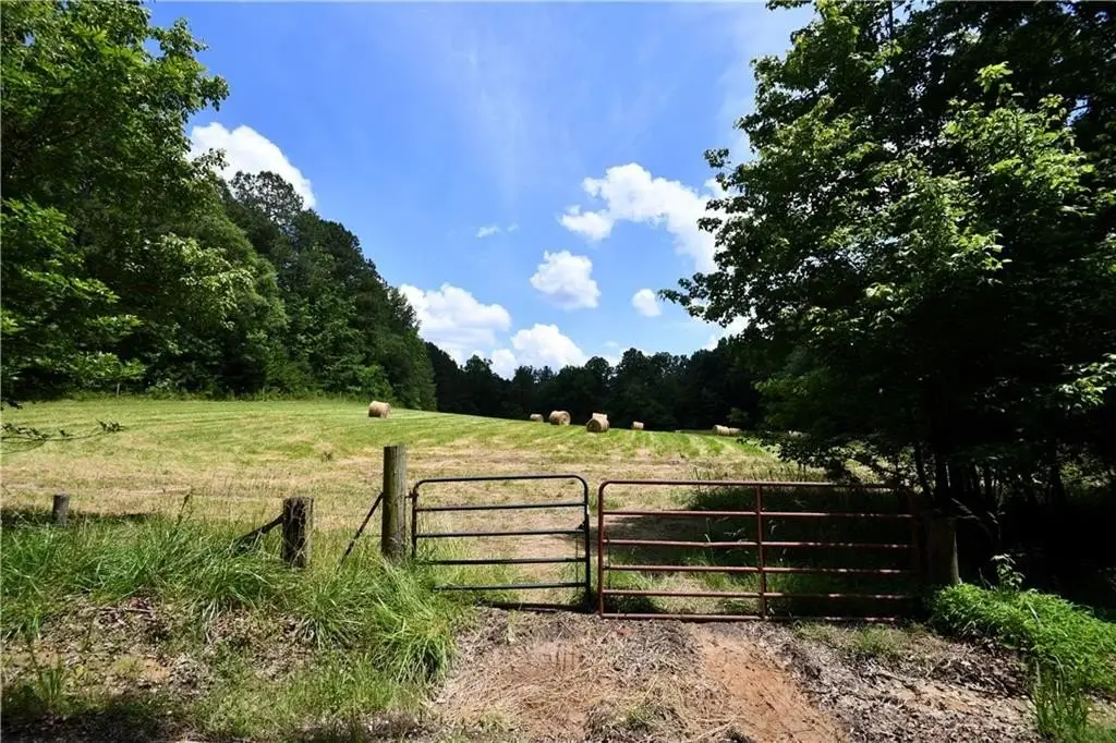 Picture 47