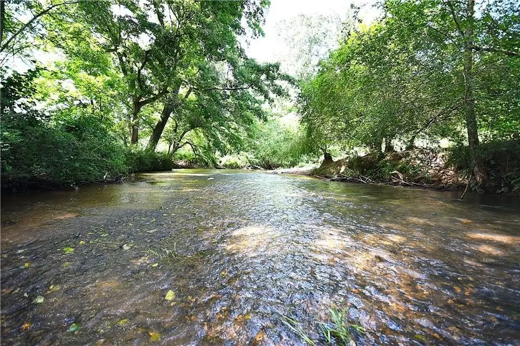 Picture 23