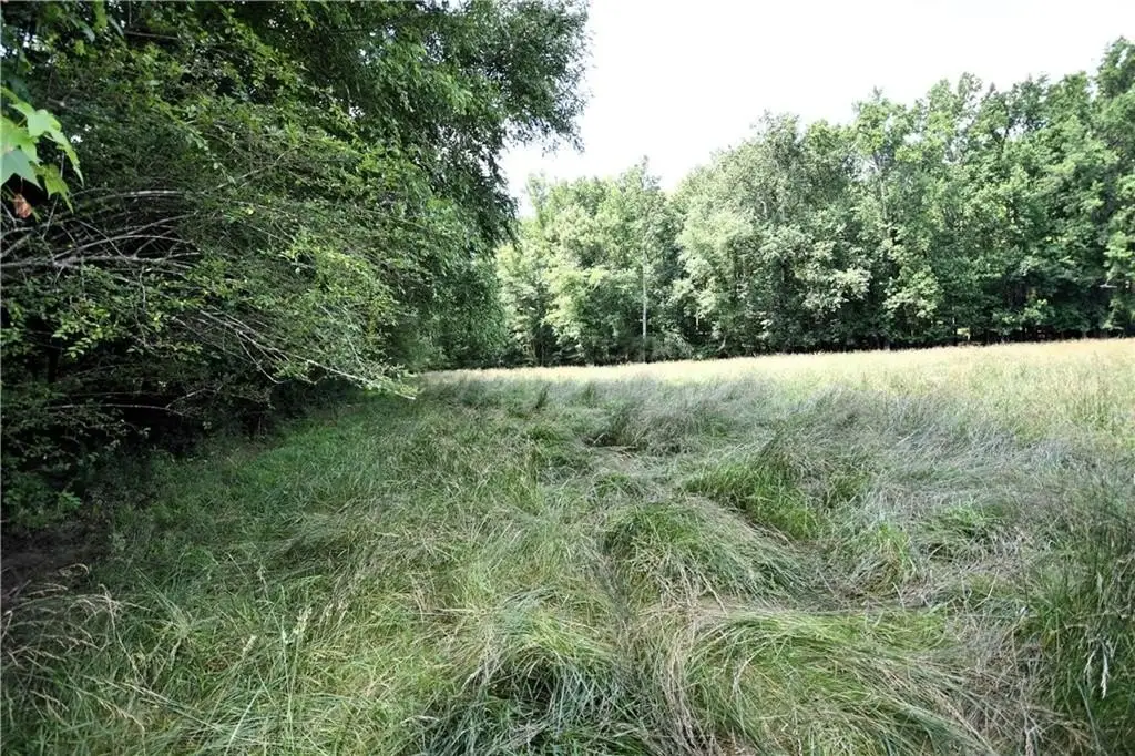 Picture 50