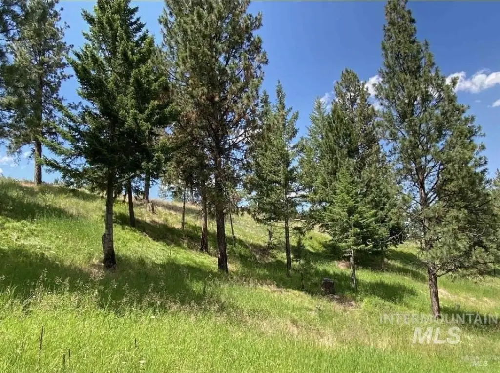 Picture 9