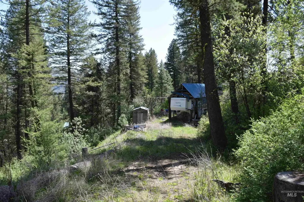 Picture 14