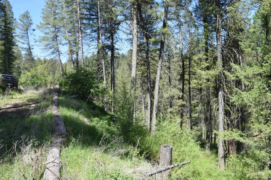 Picture 12