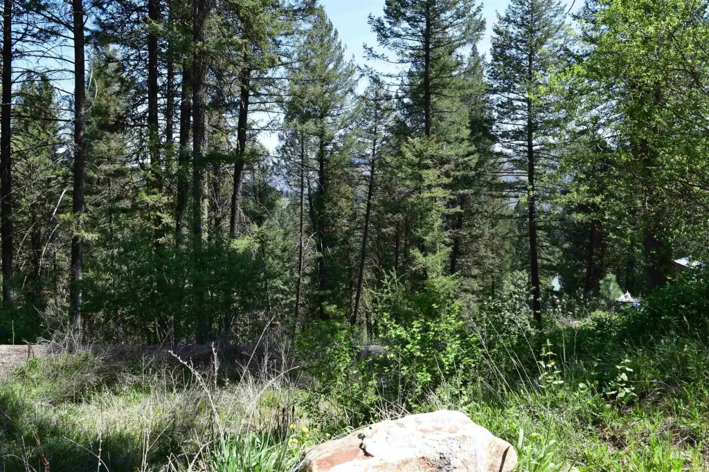 Picture 9
