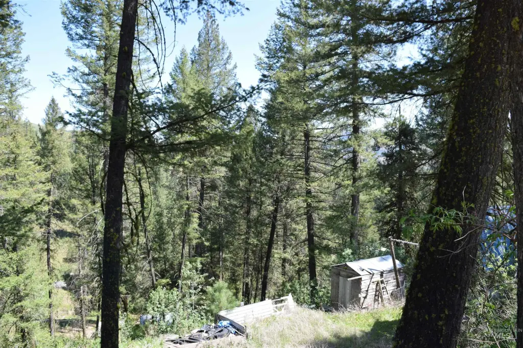 Picture 15