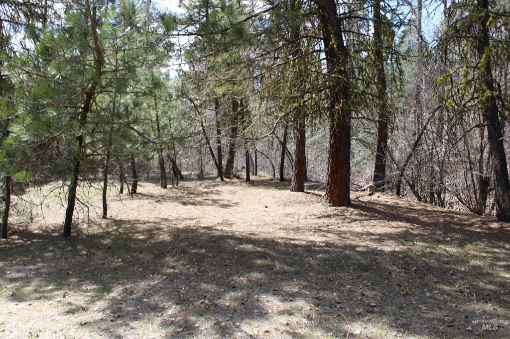 Picture 17