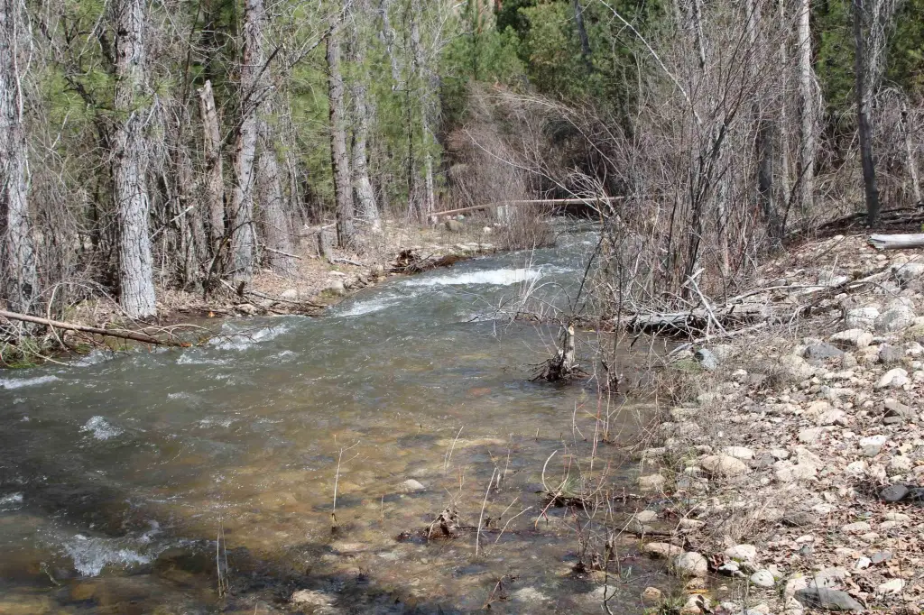 Picture 15