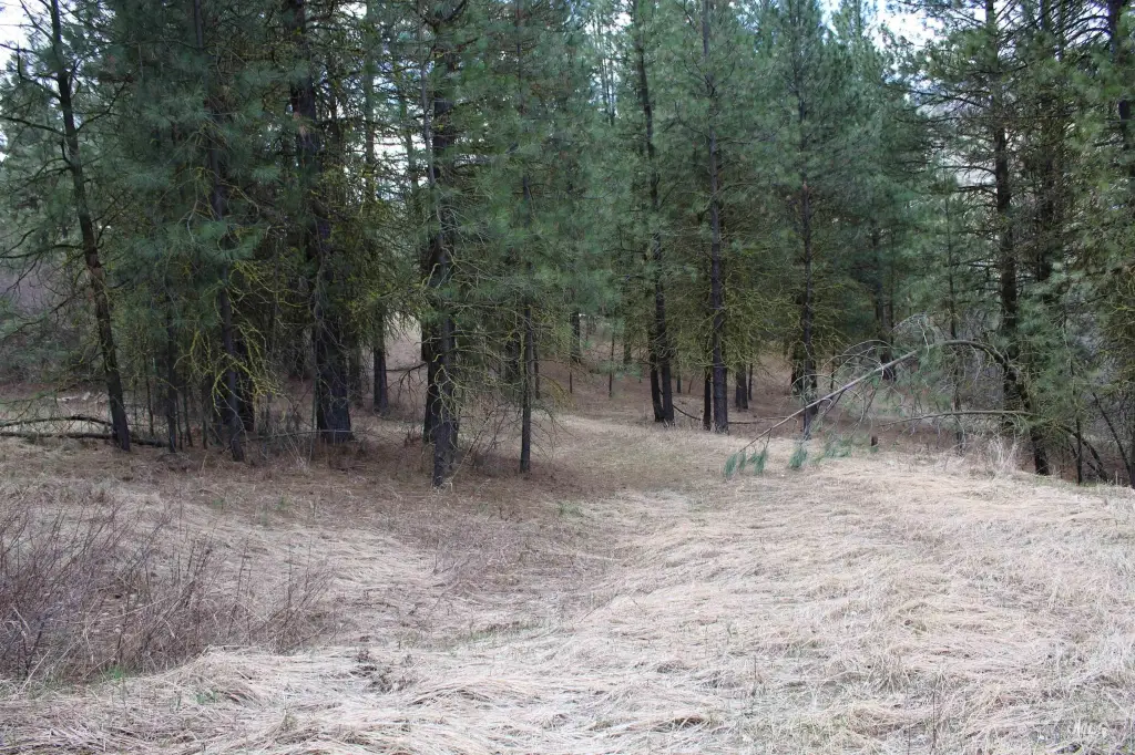 Picture 2