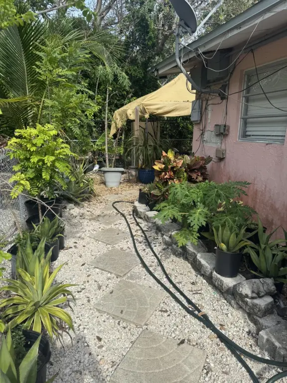Picture 11