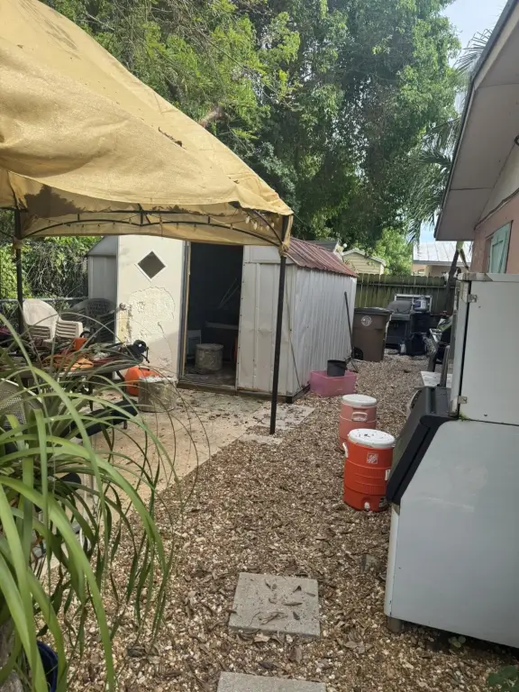 Picture 13