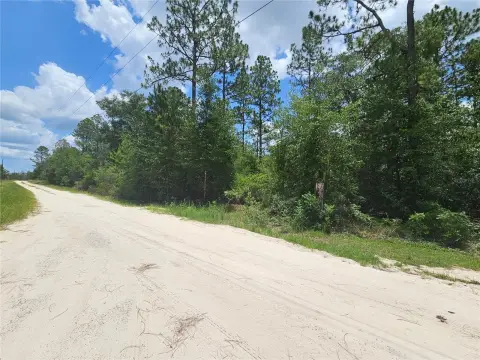 Wooded Residential Home Lot
