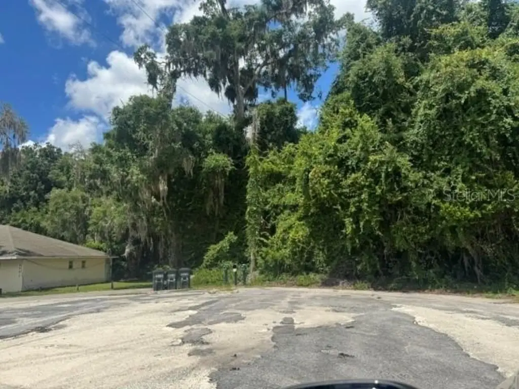 Picture 11