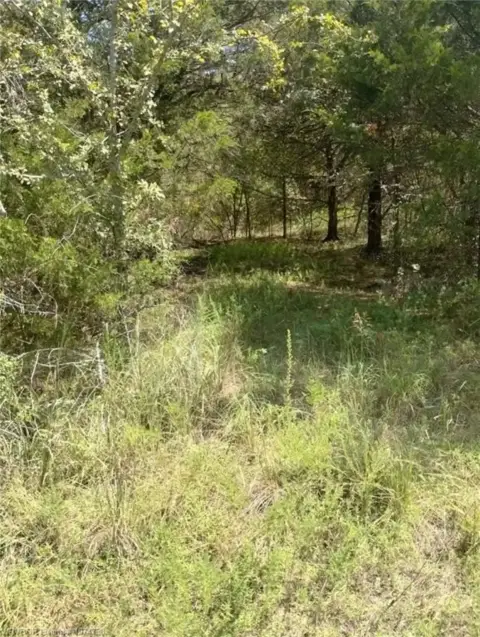 Residential Land Near Lake Eufaula
