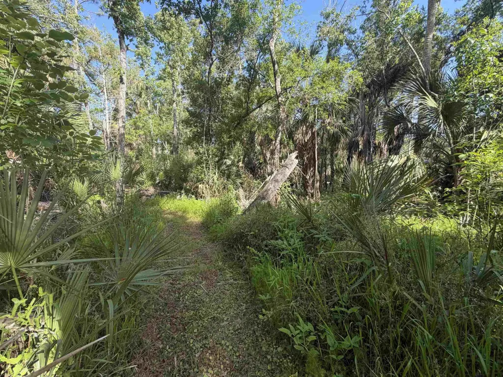 Picture 22