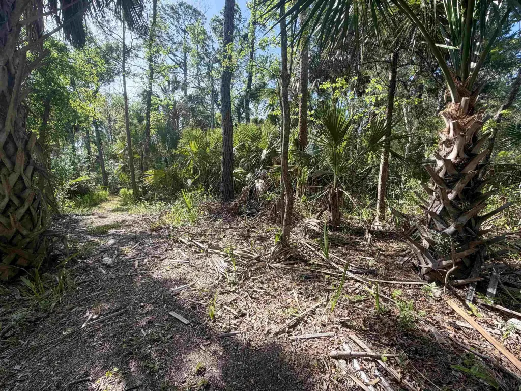 Picture 21