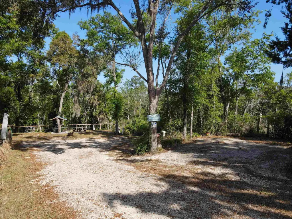 Picture 36