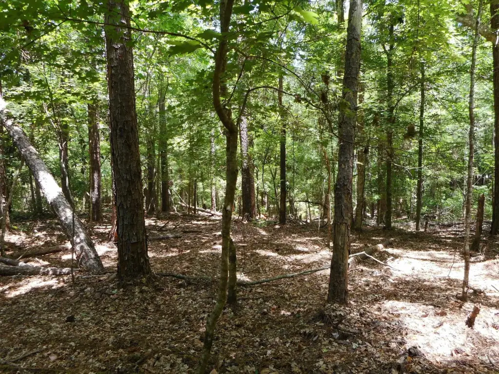 Picture 7