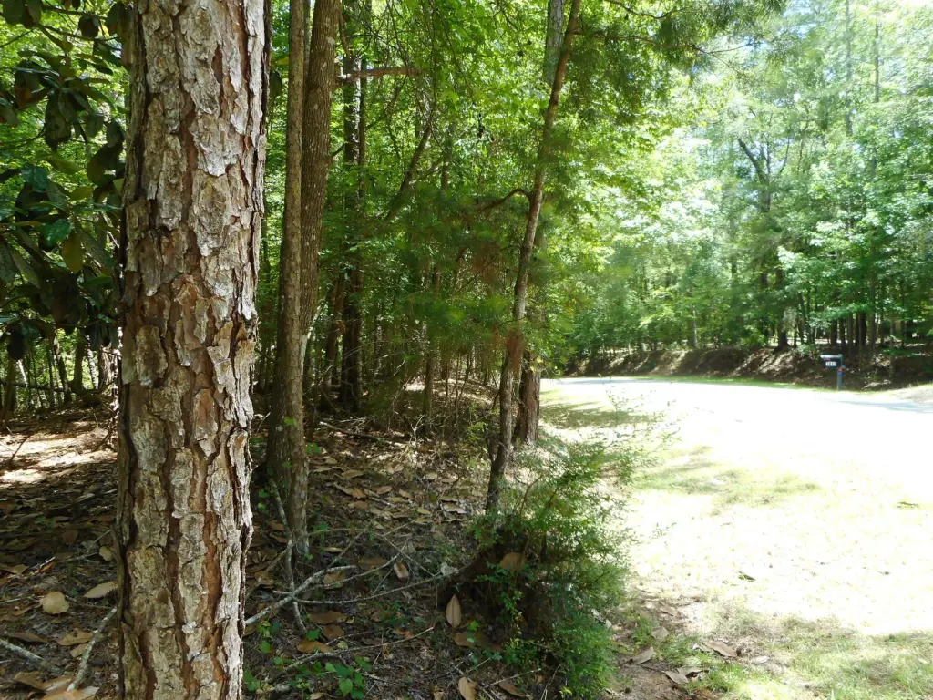 Picture 11