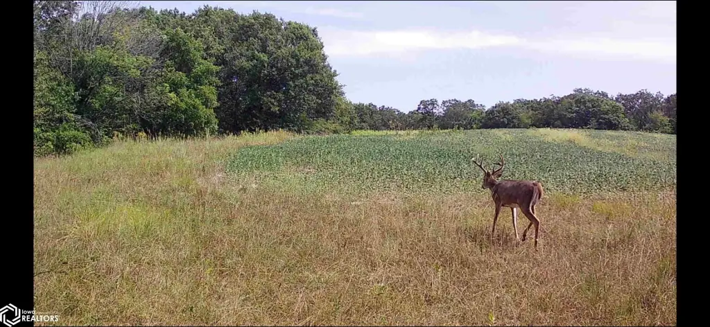Picture 40
