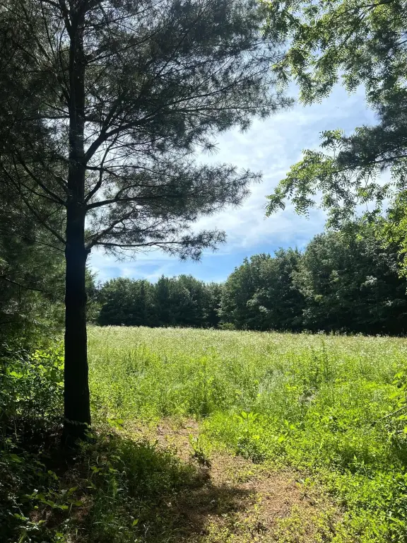 Picture 6