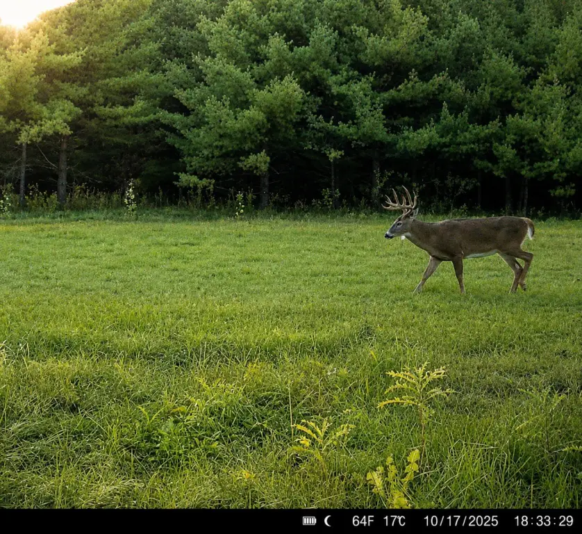 Picture 7