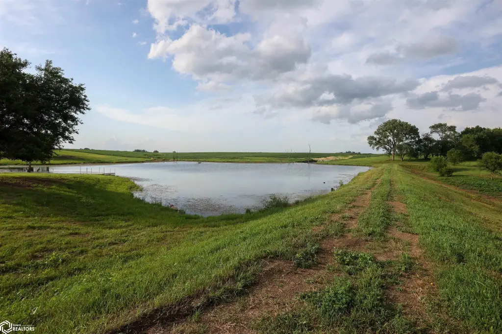Picture 24