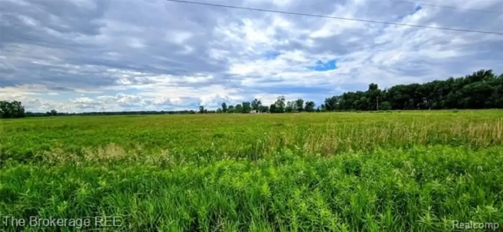 Picture 7