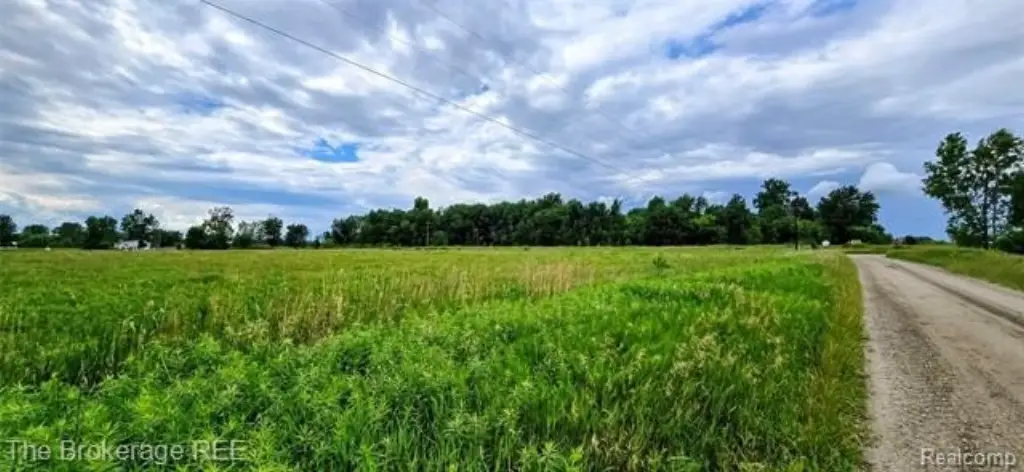 Picture 6