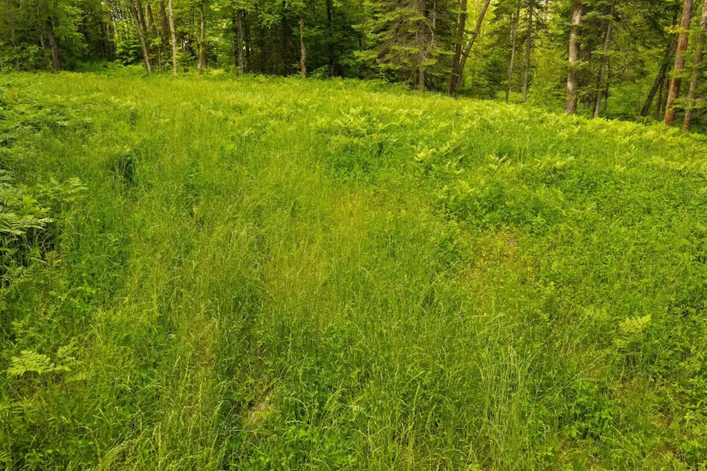 Picture 10