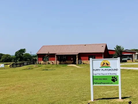Kennel-Free Dog Day Care Center