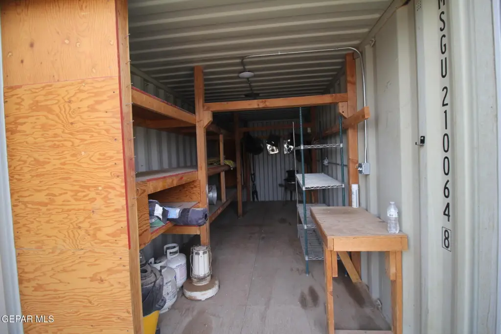 Picture 7