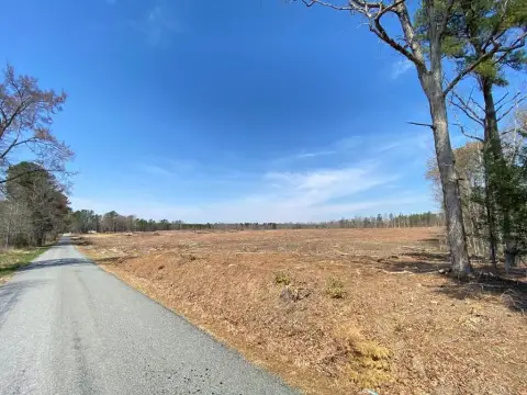 Cleared Land Ready For Vision